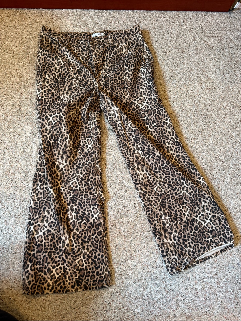 Loft Leopard Print Flared Pants - Brown & Black, size 14
